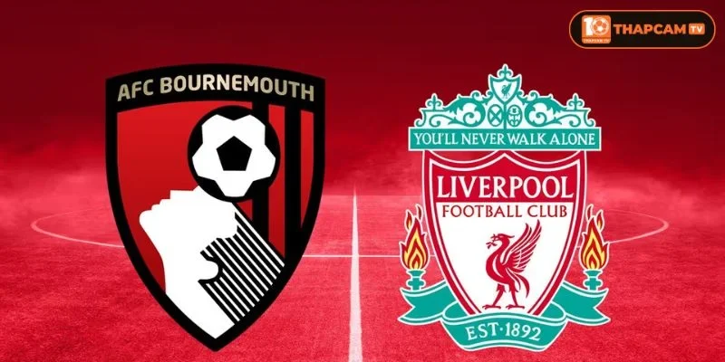 Soi kèo nhà cái Bournemouth vs Liverpool từ ThapCam TIVI hé lộ nhiều thông tin thú vị.